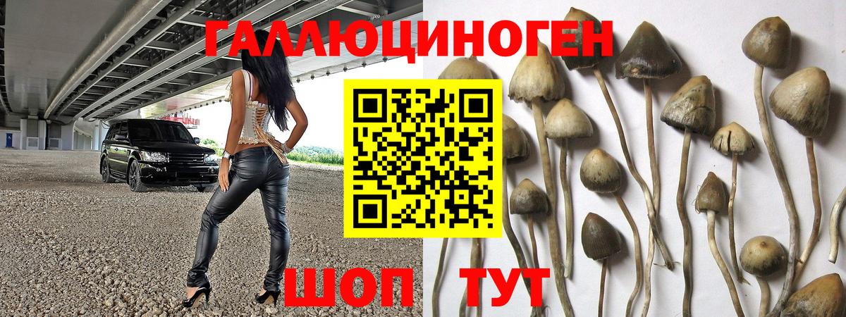 Советская Гавань  Галлюциногенные грибы Magic Shrooms  Вход с VPN 
